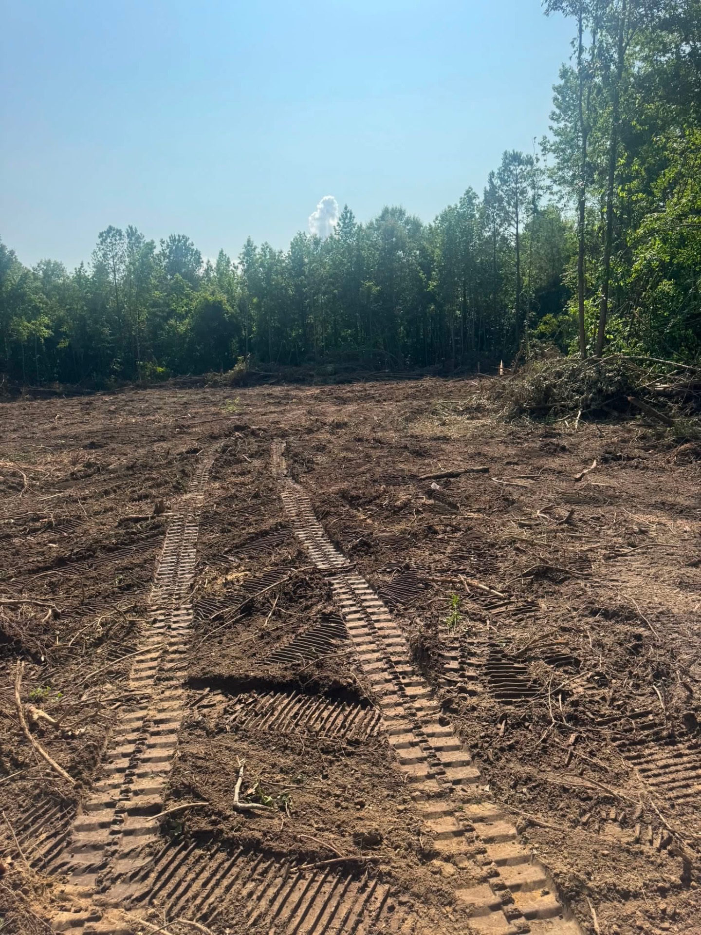 Fresh dozer tracks across a newly cleared Mississippi land tract